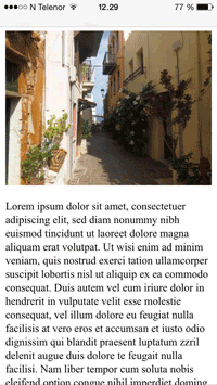 С тегом meta для области просмотра